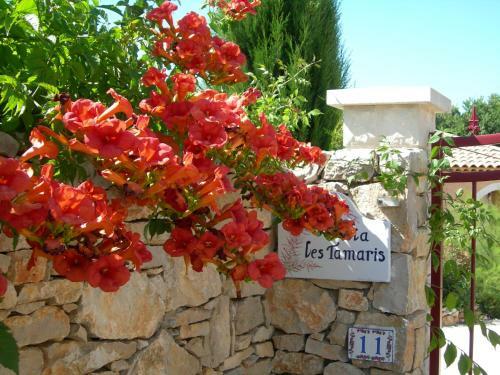 Hostal B&B Villa Les Tamaris