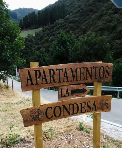 Apartamentos La Condesa