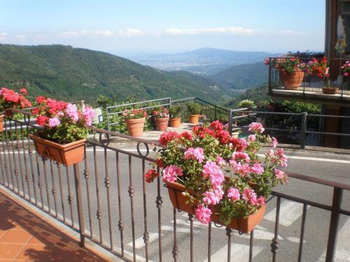 Hotel Albergo Ristorante Amelia