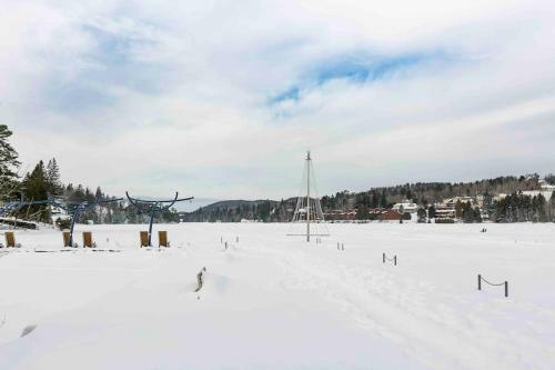 Au C?ur Des Laurentides - Suites 68