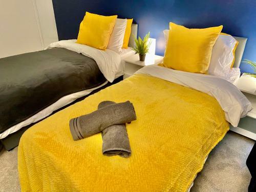 Entire Central Windsor Apartment With Free Parking!