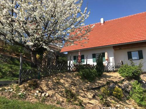 Kellerst�ckl Goigner