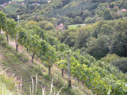 Bed & Breakfast Weingut Albert, Familie Cramer