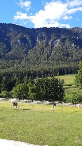 Apartamento Naturidyll Brunner