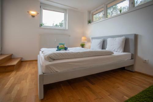 Innsbruck City Mountain View Apartment