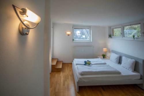Innsbruck City Mountain View Apartment