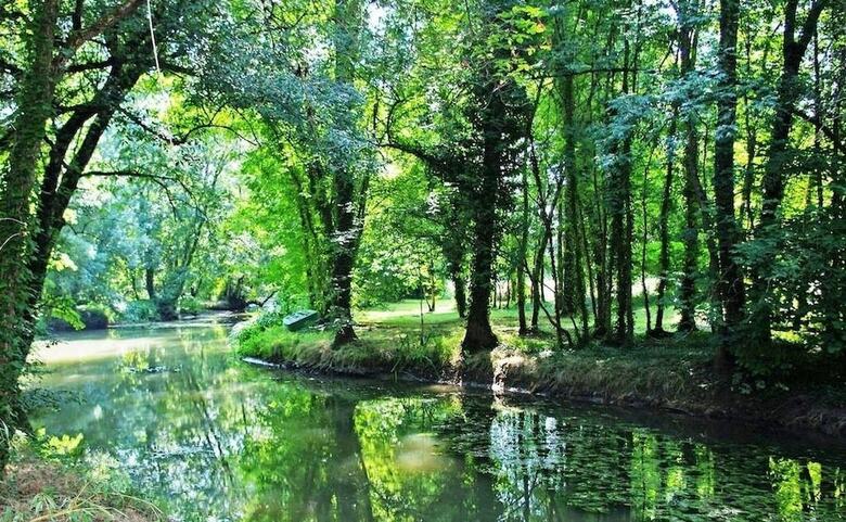 Bed & Breakfast Domaine De Pladuc