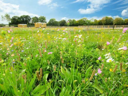 Honeysuckle Farm Holidays By Air Manage Suffolk