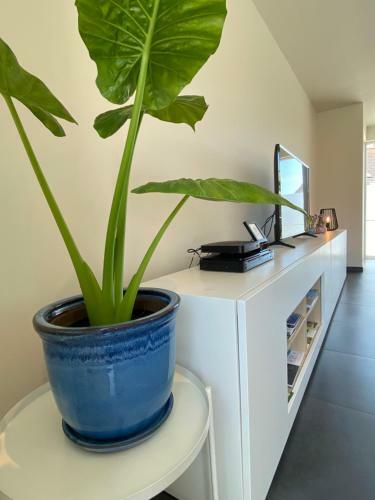 Vakantiewoning Maison Remi - 12pers