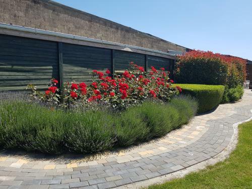 Apartamento De Achtertuin