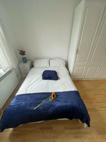Hostal Stunning Double Room South Wimbledon