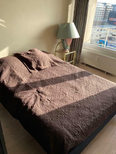 Apartamento Hasselt-oostende-aan-zee