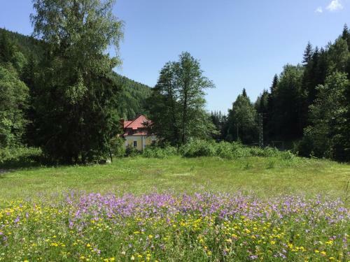 Horsk� Chata Pod Lanovkou