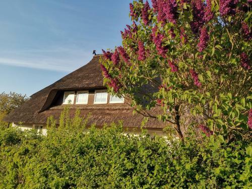 Apartamento Gem�tliche Ferienwohnung Unterm Reetdach