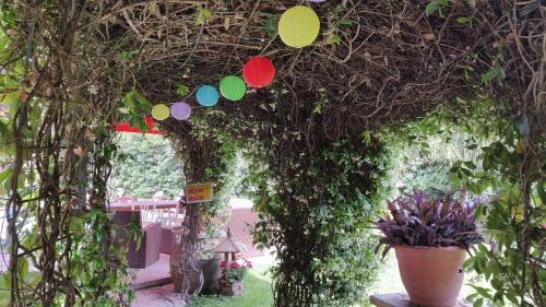 Bed & Breakfast Oasi Del Gabbiano