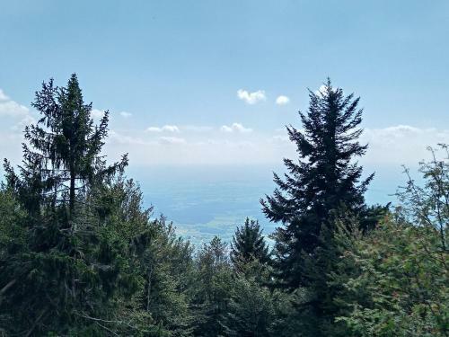 Apartamento Waldfee
