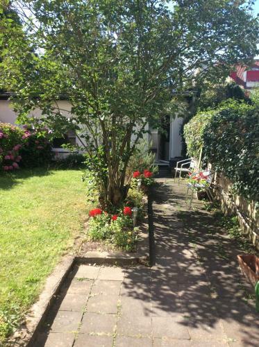 Apartamento Altstadt Bonn Mit Eigenem Parkplatz Und Garten