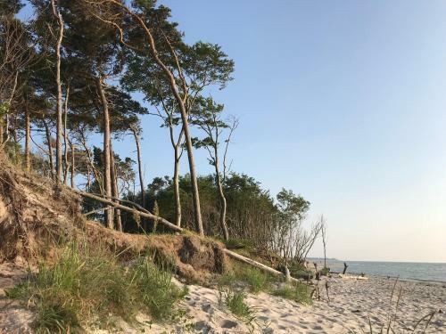 "leuchtturmhaus" By Ferienhaus Strandgut
