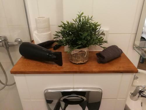 Apartamento Ferienwohnung W20 Viktoria Luise