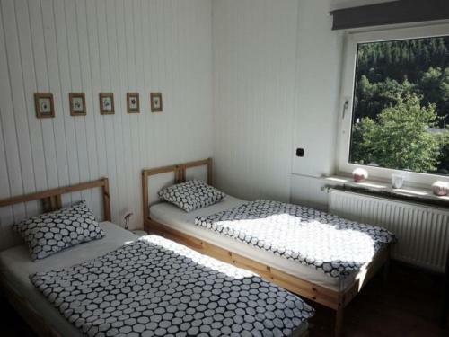 Serene Holiday Home In Brilon-wald With Terrace