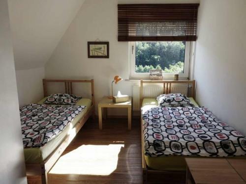 Serene Holiday Home In Brilon-wald With Terrace