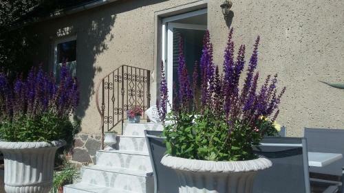 Apartamento Mariflor, Nur 350 M Zum Strand
