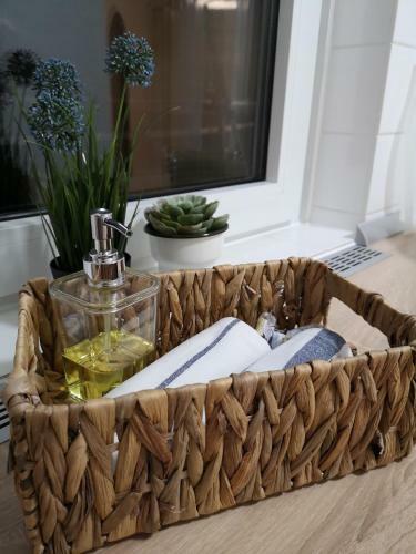 Apartamento Ferienwohnung Contrescarpe City