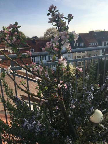 Apartamento Dachstudio Im Geteviertel - Citynah