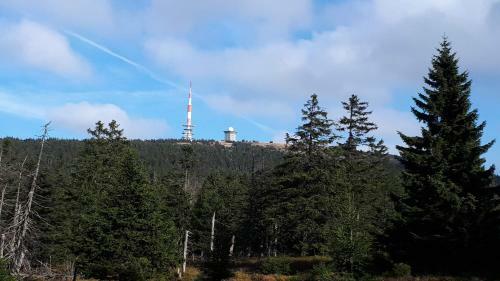 Apartamentos Harz Blick