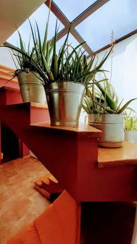 Villa Zelena Ku?a- Green House