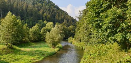 Apartamento Ferienwohnung Wolfsschlucht
