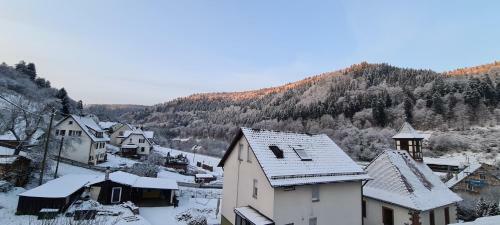 Apartamento Ferienwohnung Wolfsschlucht