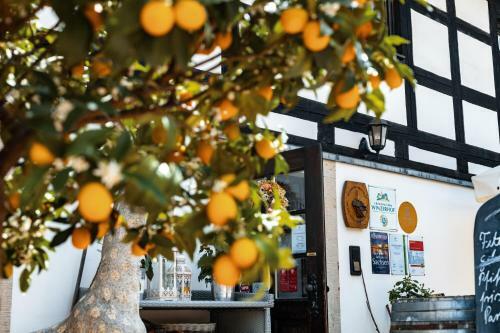 Hostal Weingut Schuh - Pension Zur Bosel