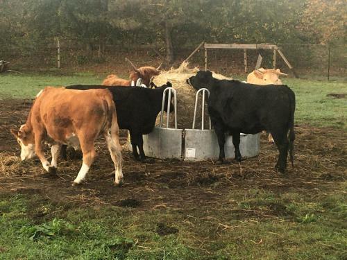 Apartamento Ferienwohnung Auf Dem Bauernhof
