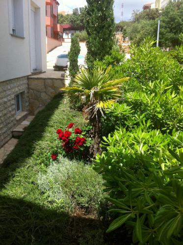 Apartments Sanmar