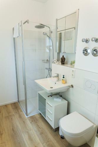 Dalex Apartment Kontaktlos Self Check In - Self Check Out