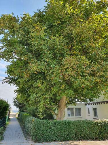 Apartamento Hagelstein I "donnerkeil"