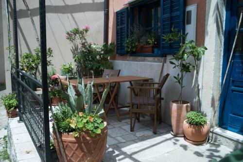 Hostal Camino House Motovun - Eco B&B