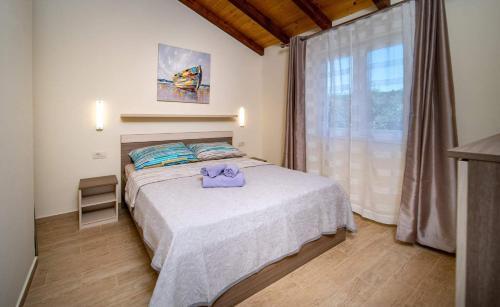 House Olive Tree