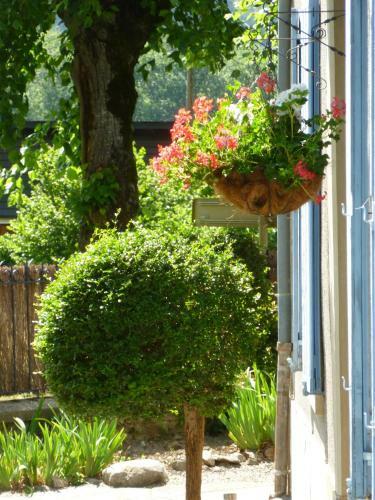 Bed & Breakfast Papilio