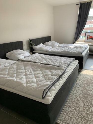 Hostal Ferienwohnungen An Der Deichstra�e - 2. Og