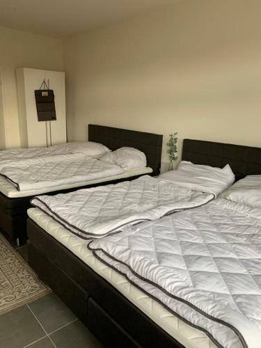 Hostal Ferienwohnungen An Der Deichstra�e - 2. Og
