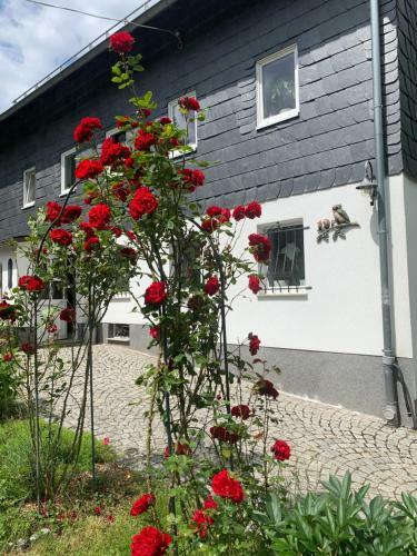 Apartamento Ferienwohnung Eulennest
