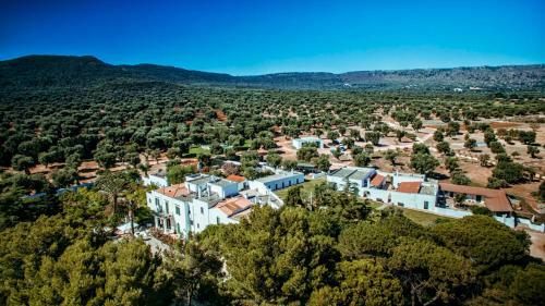 Agroturismo Masseria Il Frantoio