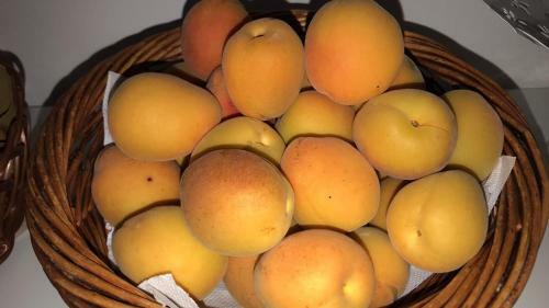 Guest House B&B Pietra Bianca