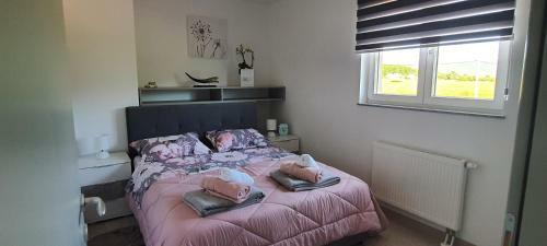Apartmani Fenestra Tesla I Faust