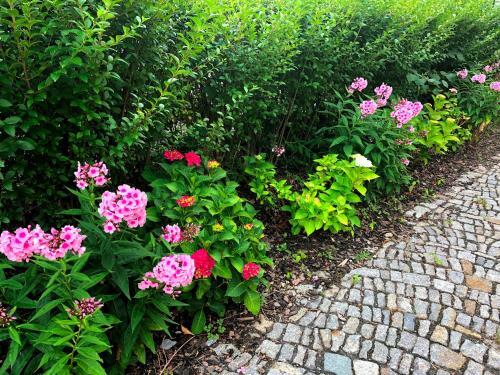 Apartamento Ferienwohnung An Der Elbf�hre