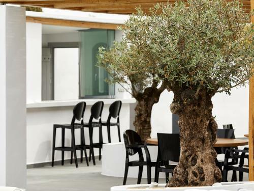 Hotel Kallisti Thera