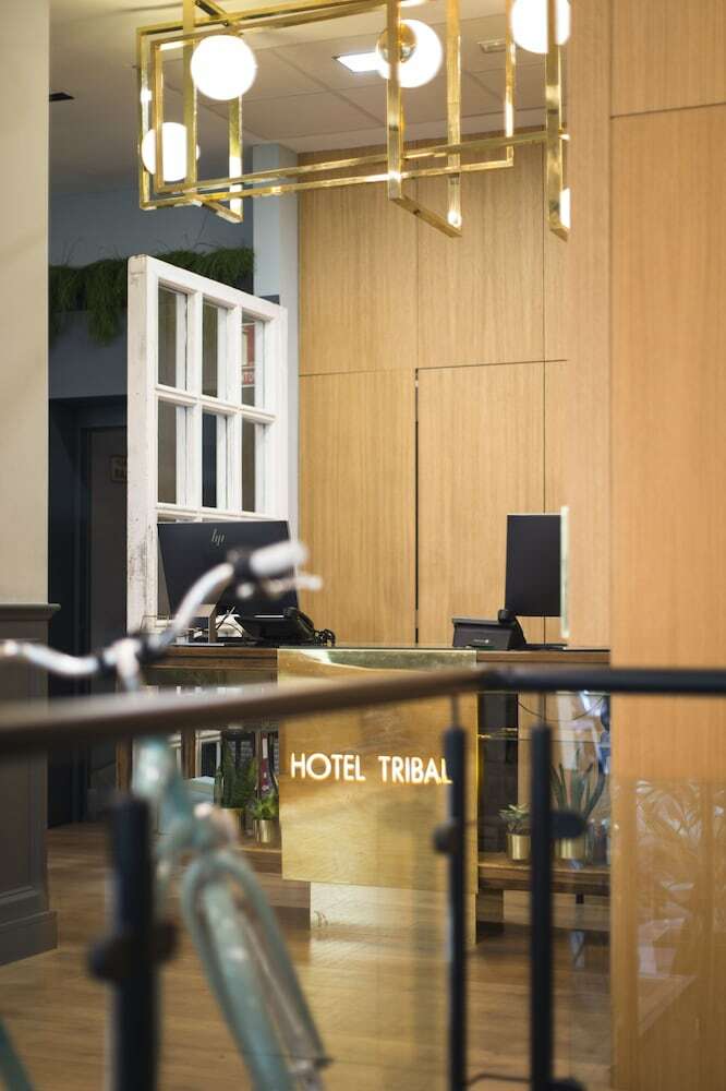 Hotel Petit Palace Triball
