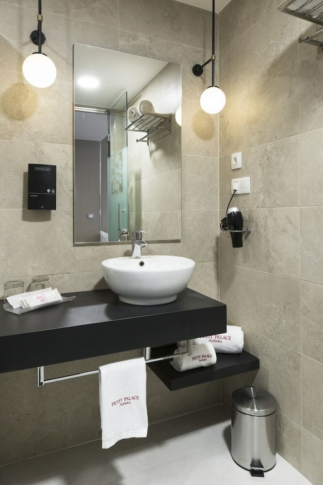 Hotel Petit Palace Triball